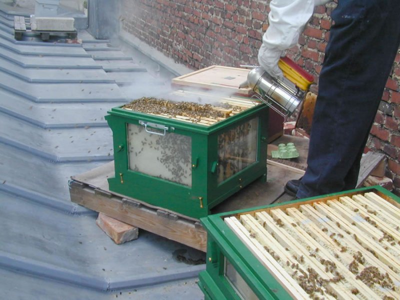 Ouverture de l&#039;autre ruche à Paris
