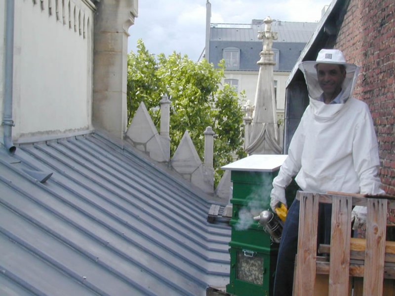 Vue des abeilles vers l&#039;Avenue de la Grande Armée à Paris