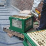 Ouverture de l'autre ruche à Paris
