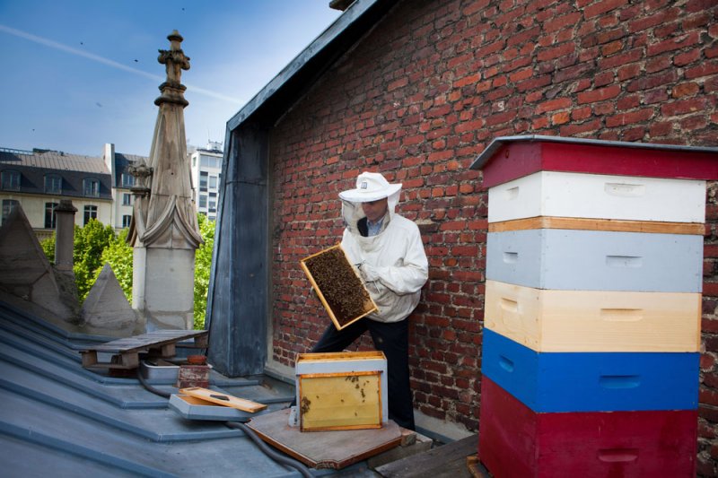 Les ruches sur le toit de l&#039;Etoile à Paris