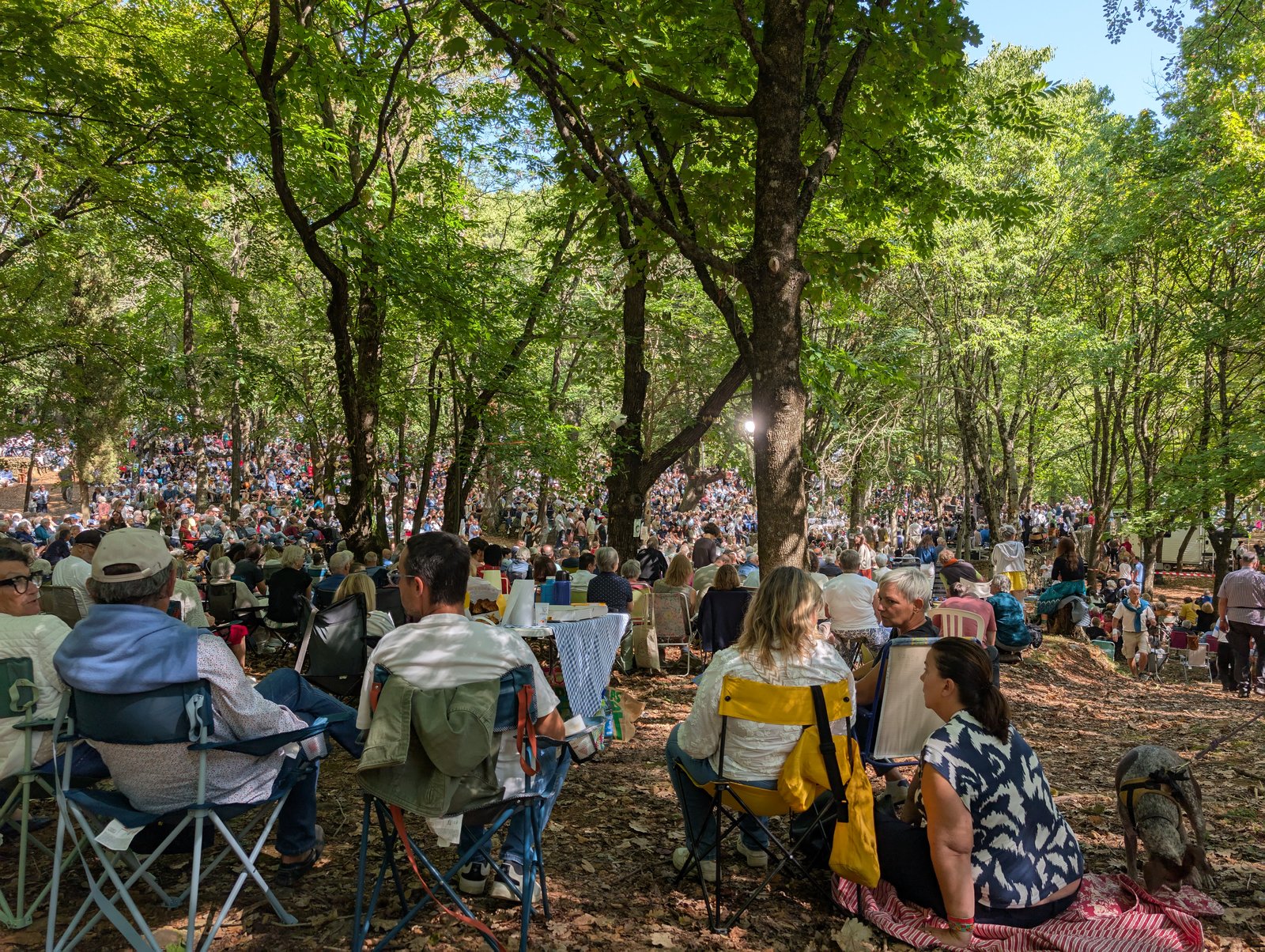L'Assemblée du Désert 2025 au Mas Soubeyran dans les Cévennes